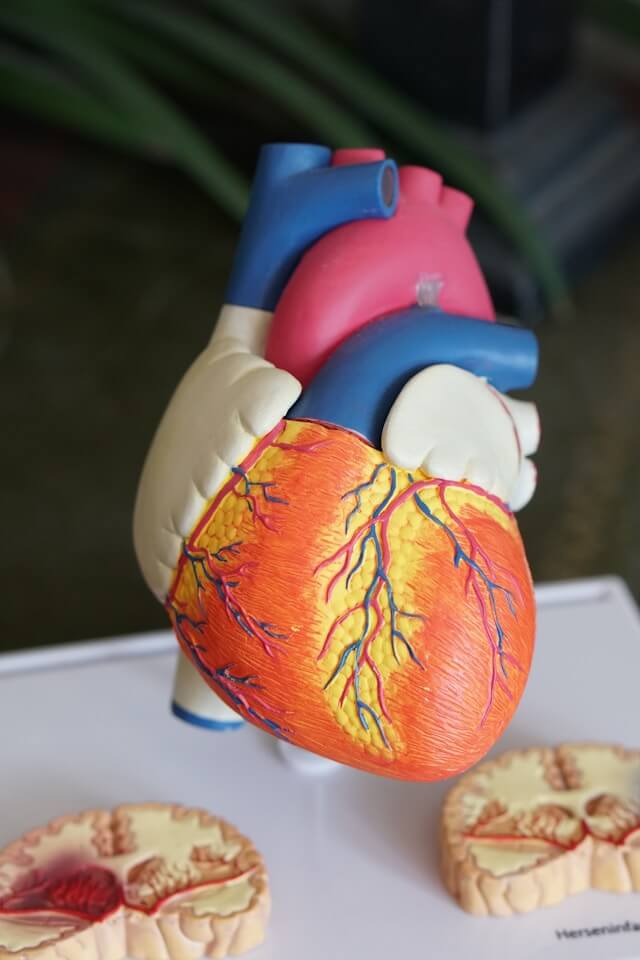 Visita cardiologica